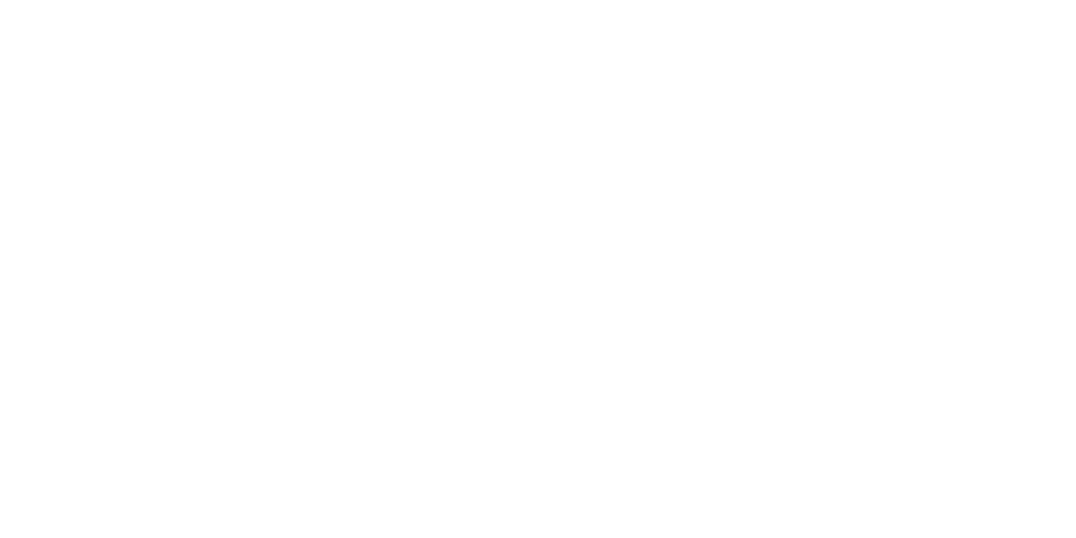 Pirates of the Obama Orion