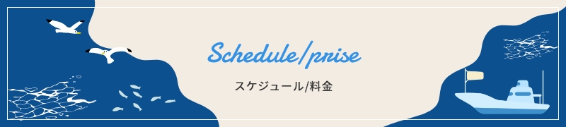 スケジュール/料金